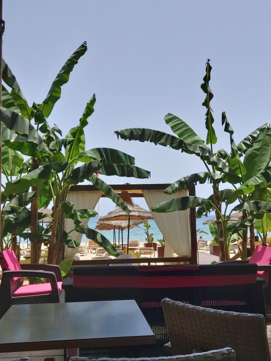 Ausblick Hotel Royal Nozha