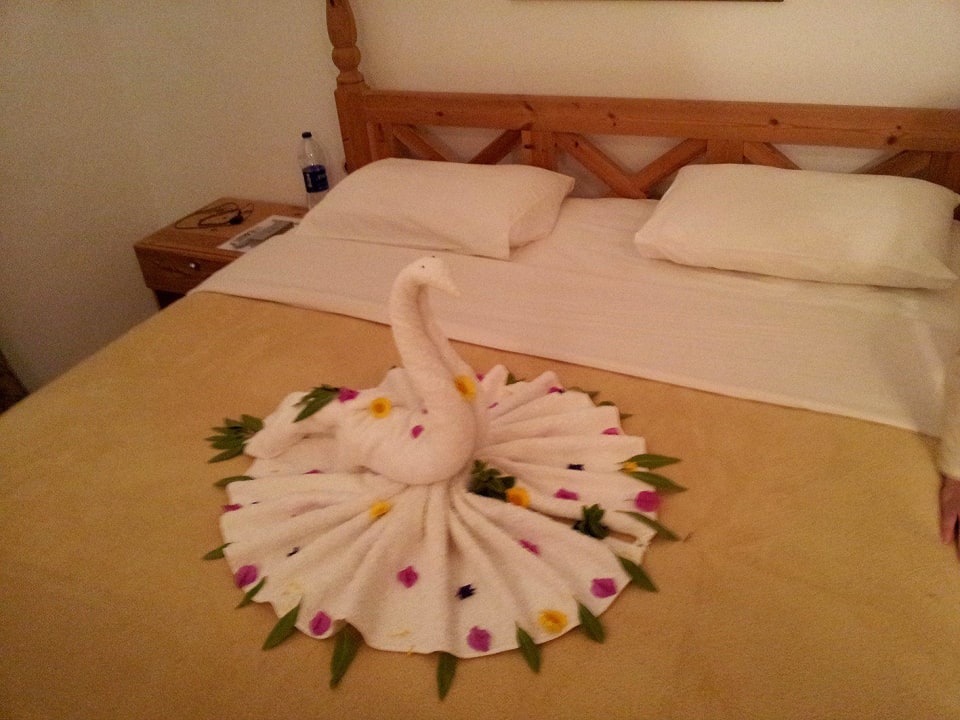 Jeden Tag eine Überraschung Sea Hug Resort