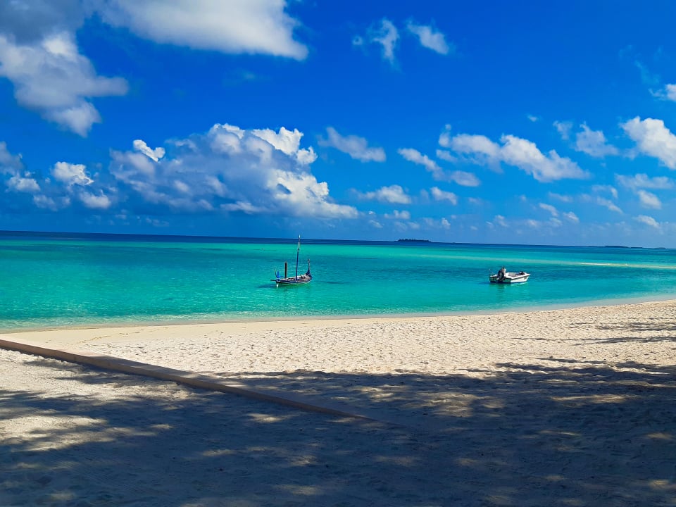 Strand Summer Island Maldives