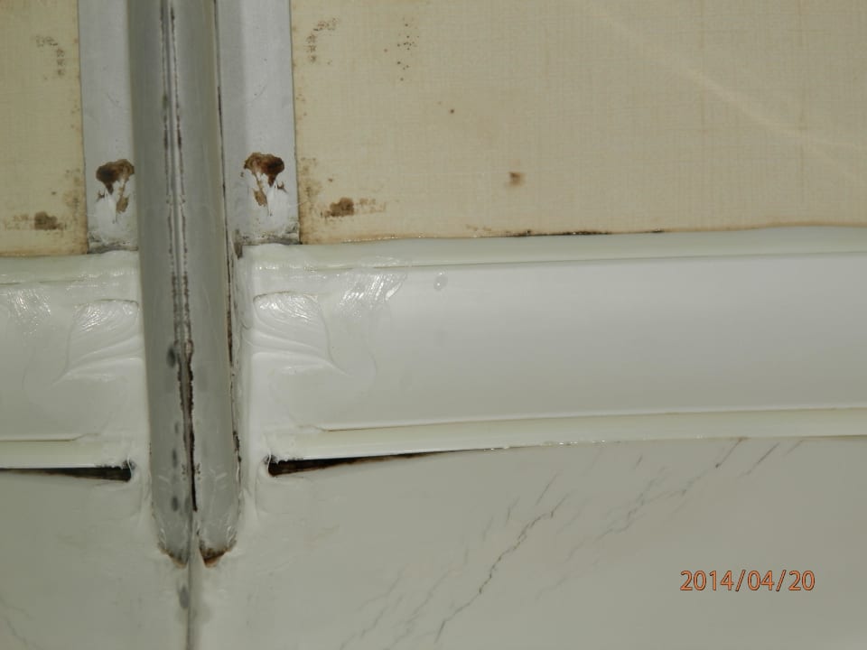 Wszedzie grzyb Hotel Hedef Resort