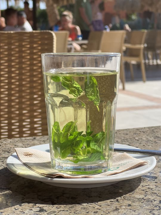 Gastro Jaz Makadi Oasis Resort