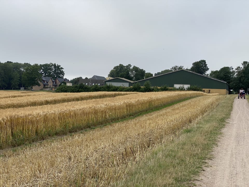 Außenansicht Ferienbauernhof Liesenberg mit Meerblick