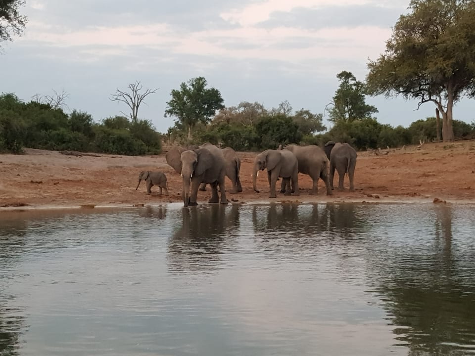 Ausblick Hotel Ndhovu Safari Lodge