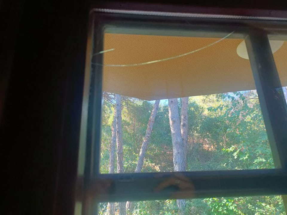 Zimmer Asteria Family Belek