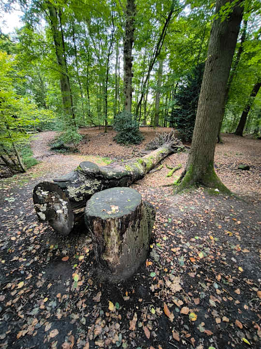 Sonstiges Vila Vita Burghotel Dinklage