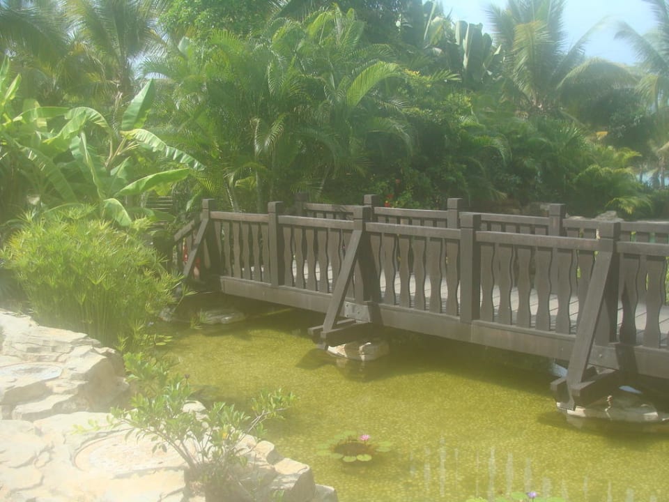 Mostek w ogrodzie hotel Resort intime Hotel Resort Intime