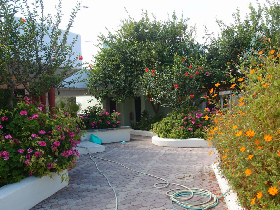 Ogród HARPIN Georgioupolis Resort Aquapark & SPA