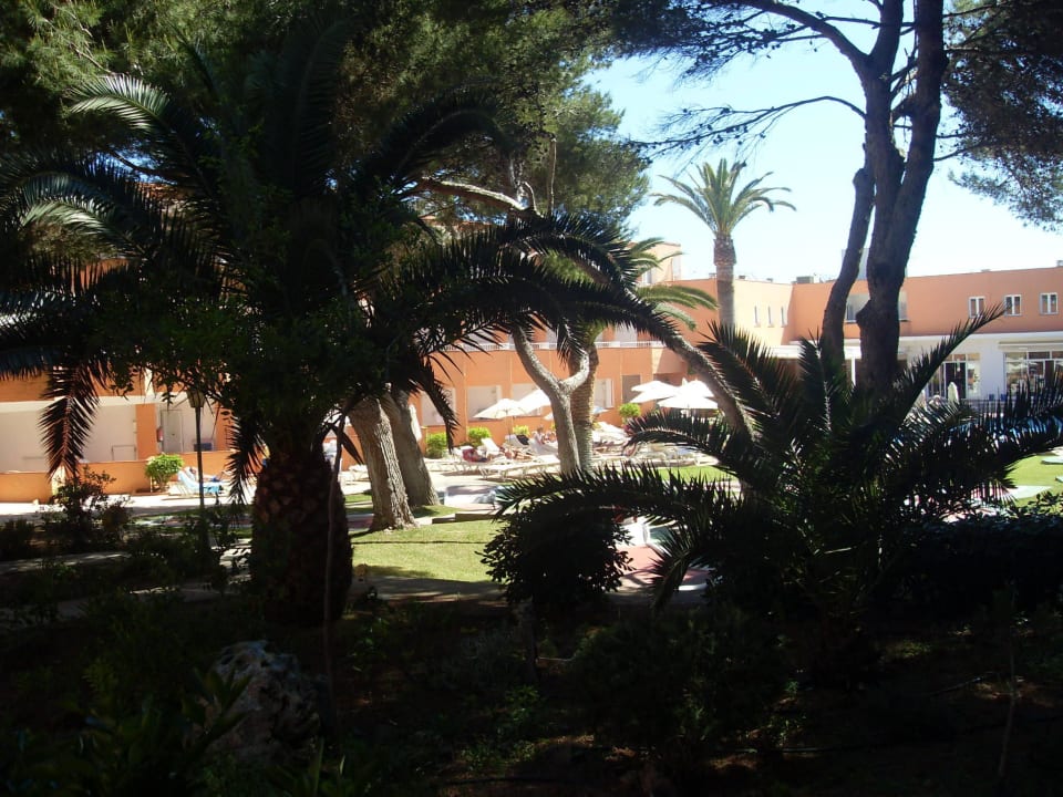 Garten / Pool Hotel Xaloc Playa