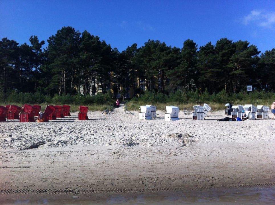 Blick vom Strand zum Hotel IFA Rügen Hotel & Ferienpark