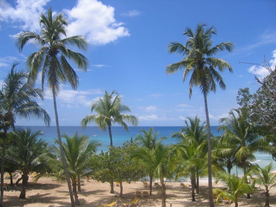 Zimmerausblick Hotel Viva Dominicus Palace by Wyndham-All Inclusive Resort