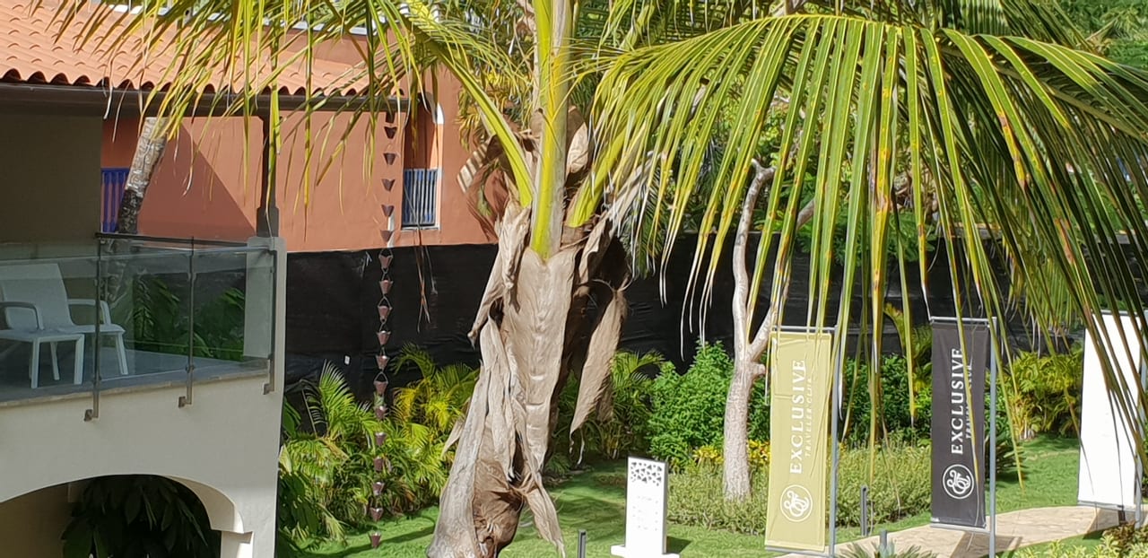 Ausblick Catalonia Royal La Romana - Adults only