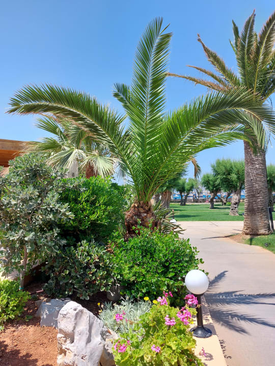 Gartenanlage Anissa Beach & Village