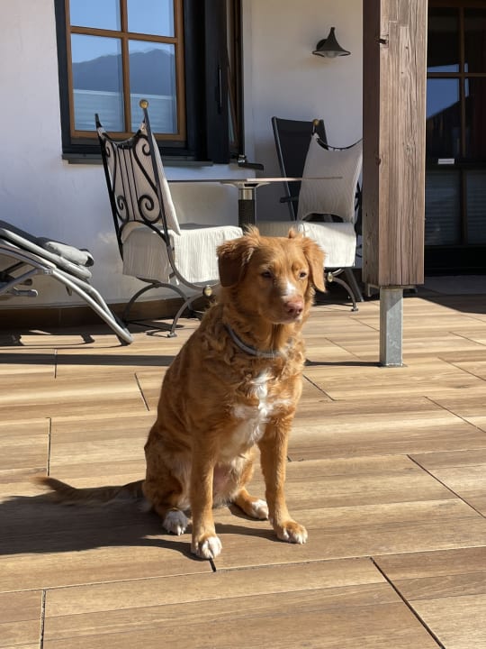 Gartenanlage Eldorado – Ferienwohnungen & Suiten im Allgäu