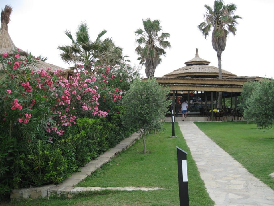 Eingang zur Strandbar Blue Waters Club