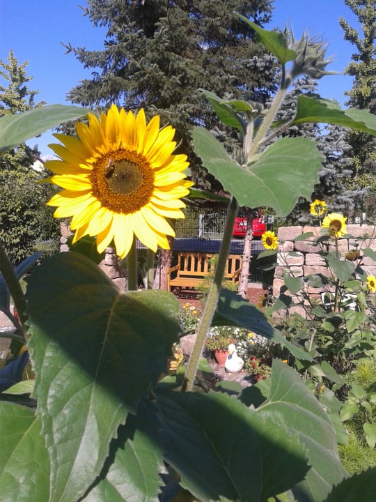 Gartenanlage Hotel-Pension Altjessen 57