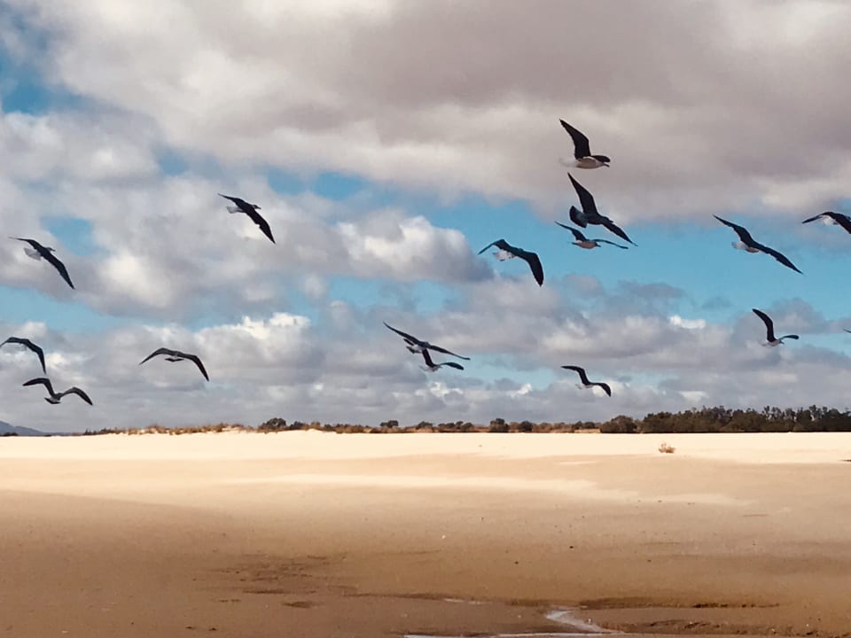 Strand ROBINSON QUINTA DA RIA