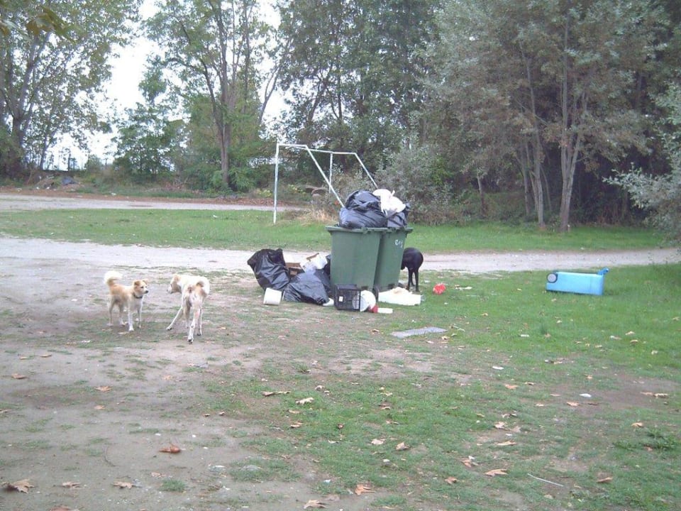 Müllentsorgung Olympian Bay Grand Resort