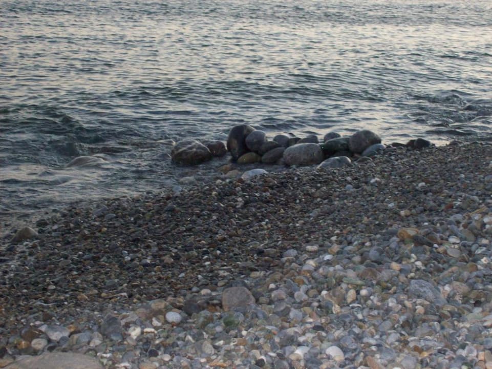Kieselstrand direkt am Hotel Hotel South Coast