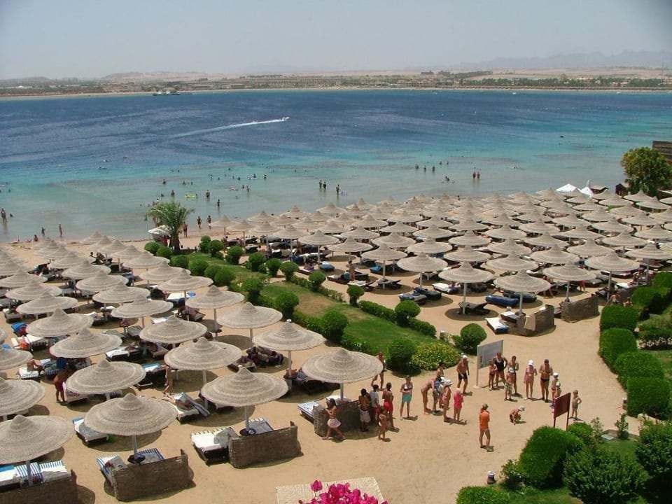 Hotel Prima Life Makadi Bay Prima Life Makadi Resort