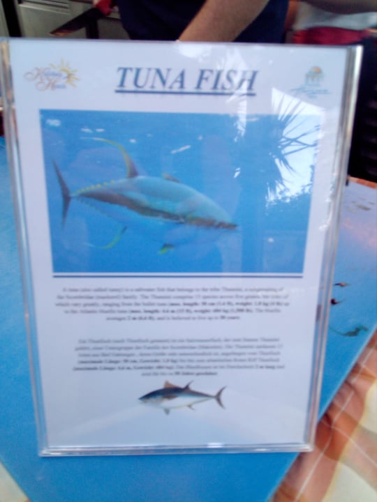 Gastro Hotel Kalithea Horizon Royal