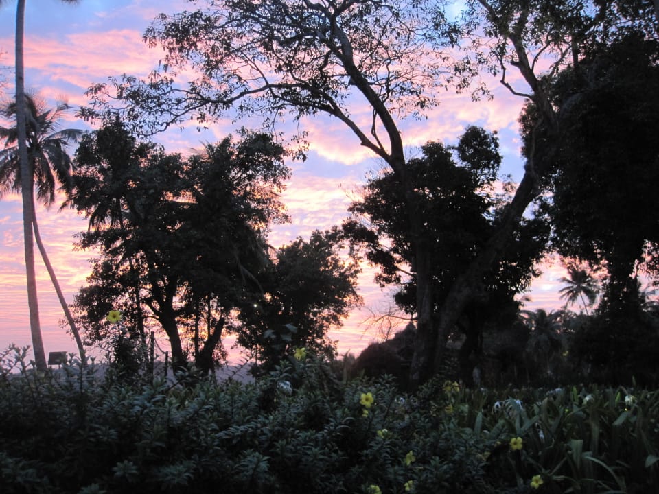 Sonnenuntergang von der Poolbar Hotel Grand Hyatt Goa