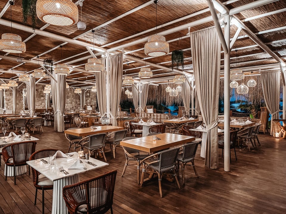 Gastro Rubi Platinum Sign