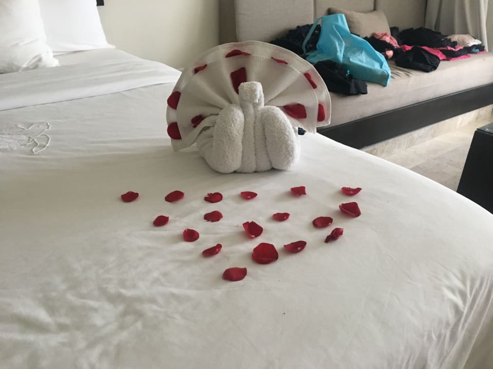 Zimmer Akumal Bay Beach & Wellness Resort