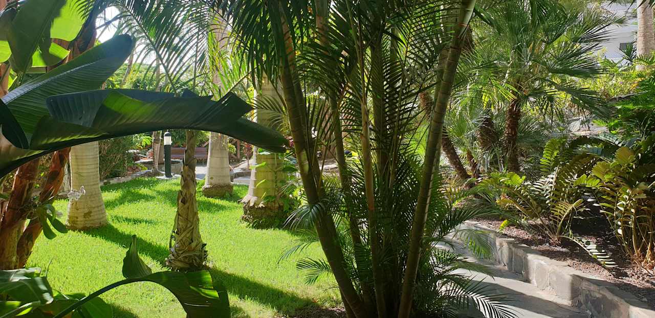 Gartenanlage allsun Hotel Lucana