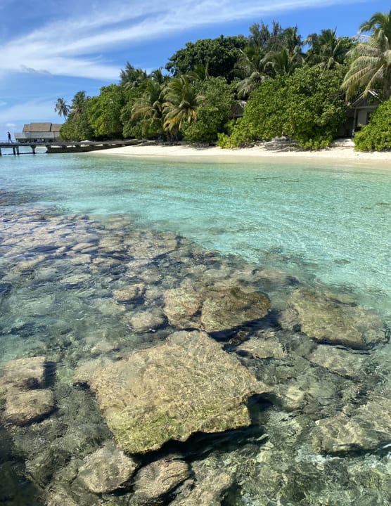 Strand NH Maldives Kuda Rah Resort