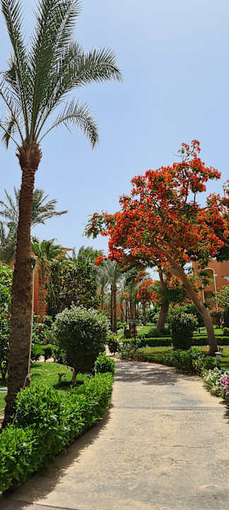 Gartenanlage Sentido Caribbean World Soma Bay