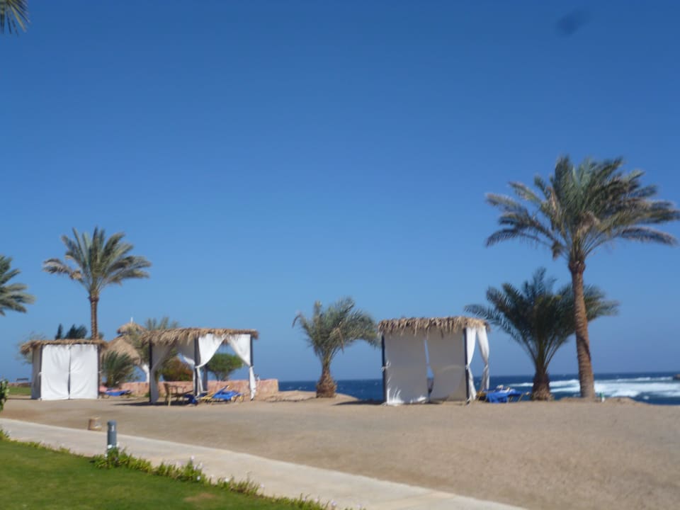 Strand mit Liegen Steigenberger Coraya Beach - Adults only