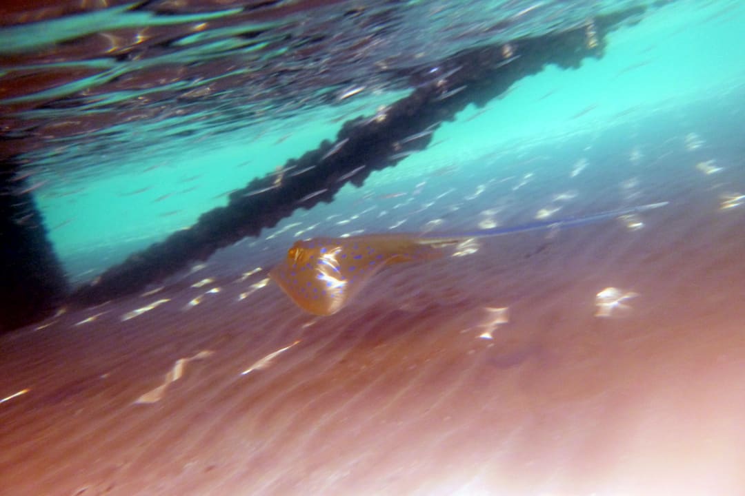 Strand Cleopatra Luxury Resort Makadi Bay