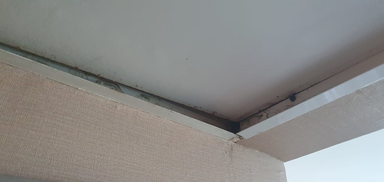 Zimmer Hotel Pine Bay Holiday Resort