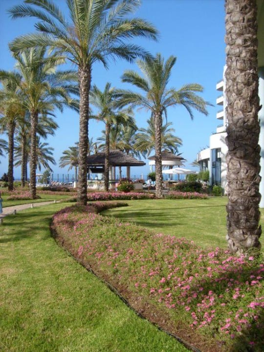 Außenanlage Pestana Grand Ocean Resort