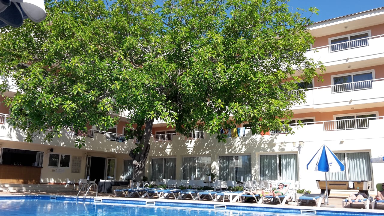 Pool THB Dos Playas - Adults only