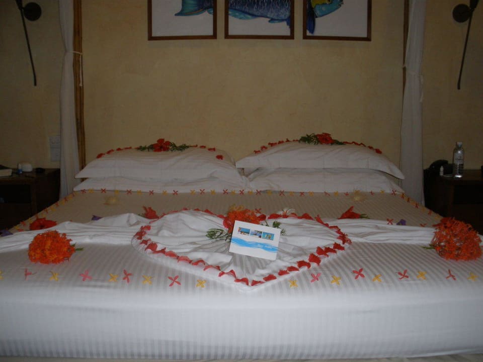 Zum Geburtstag geschmücktes Bett Kuramathi Maldives