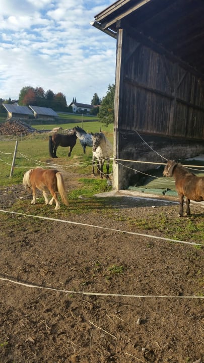 Außenansicht Erlebnisbauernhof Achatz