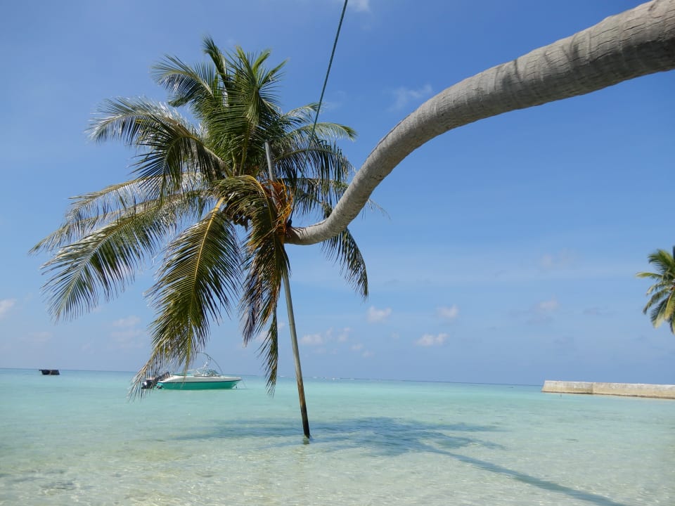 Strand Fihalhohi Maldives