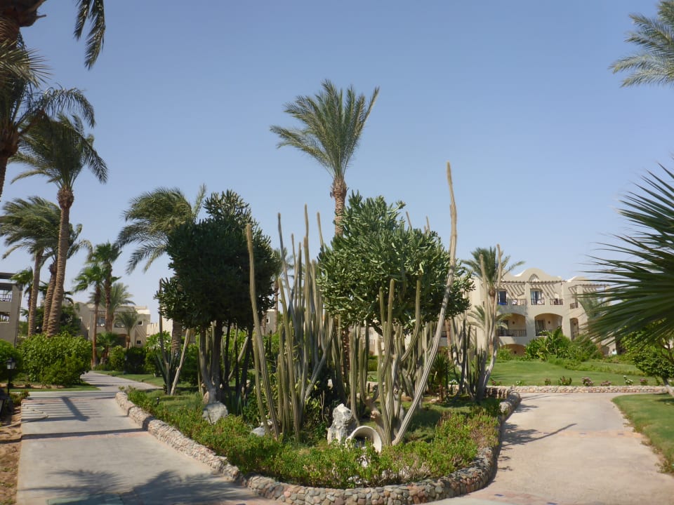 Gartenanlage Jaz Makadi Oasis Resort