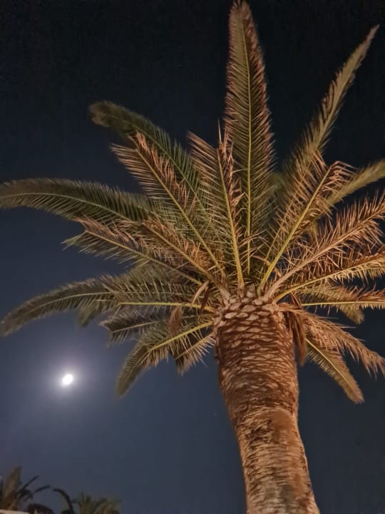 Gartenanlage Civitel Creta Beach