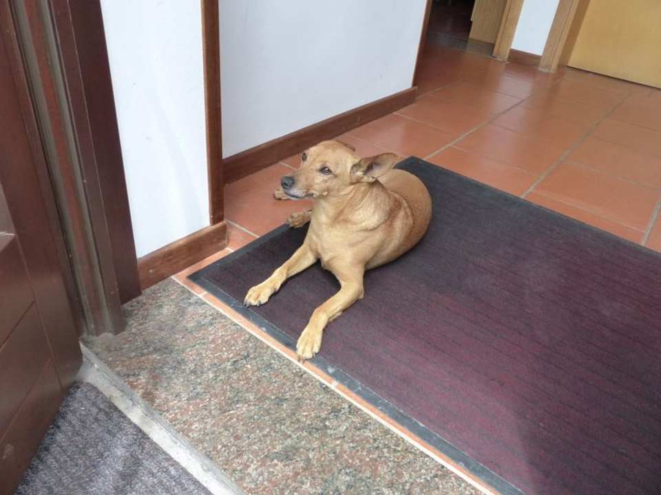 Sonstiges Albergo Ristorante Al Fogolar