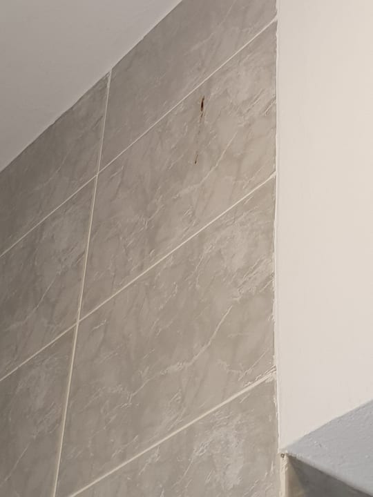 Zimmer Pharaoh Azur Resort