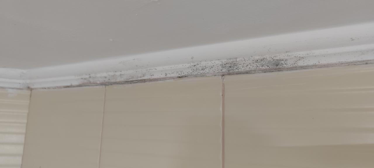 Zimmer Hotel Grand Mir' Amor