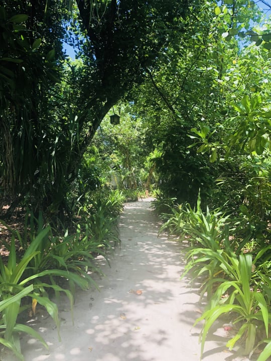 Gartenanlage NH Collection Maldives Reethi Resort