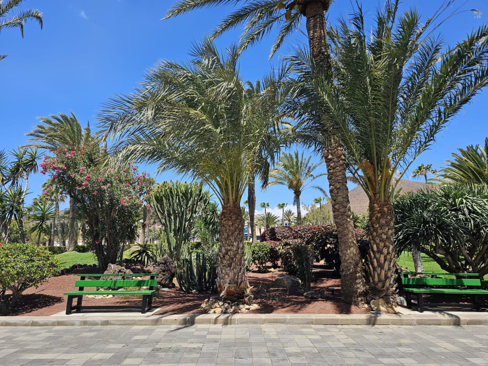 Gartenanlage Aldiana Club Fuerteventura