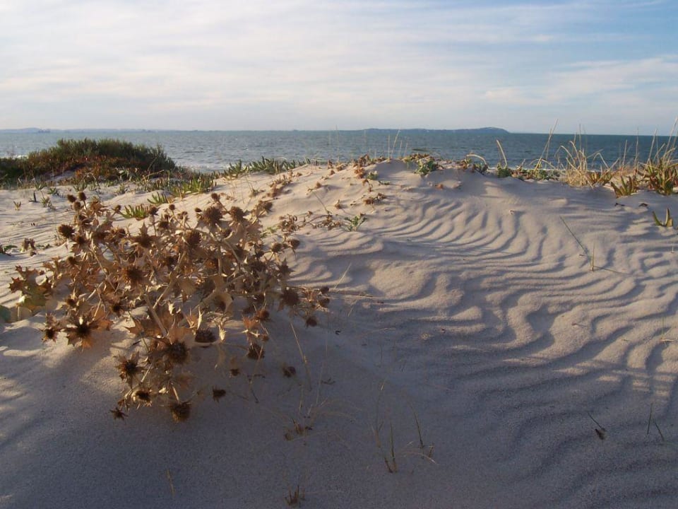 Plaża Hotel Medi Sea