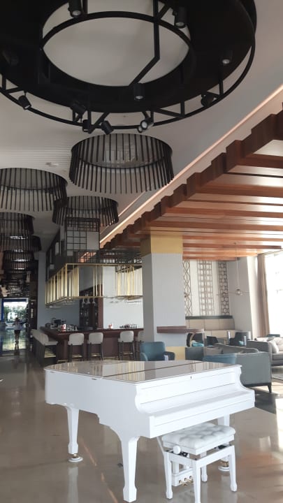 Gastro Acanthus Cennet Barut Collection