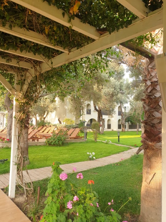 Gartenanlage Latanya Park Resort