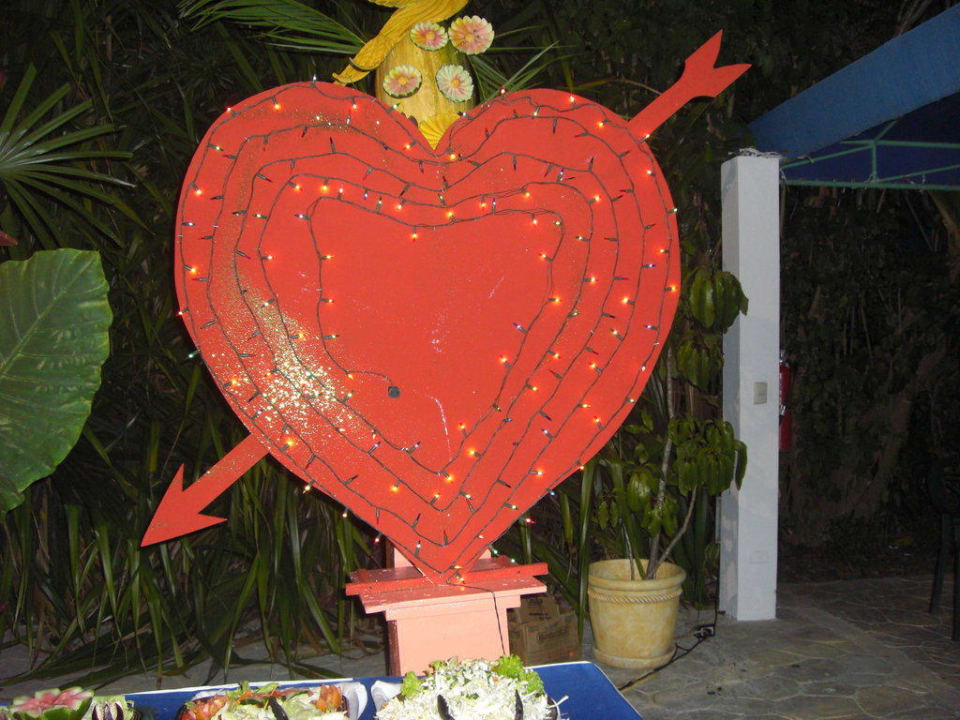 Dekoration am Valentinstag whala!boca chica