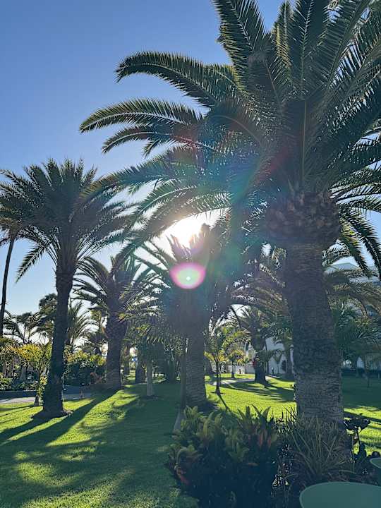 Gartenanlage Hotel Riu Gran Canaria